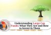 Understanding Large Cap Funds: What They Are and How to Invest in Them