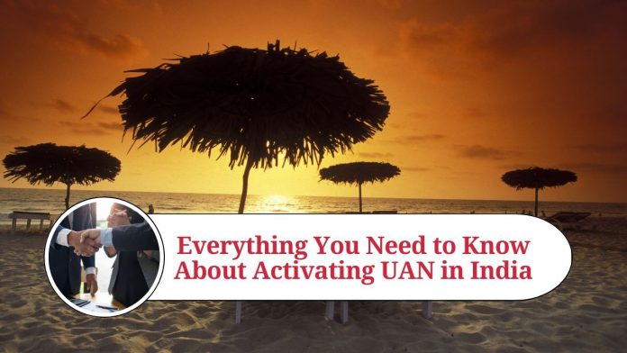 Everything You Need to Know About Activating UAN in India