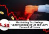 Maximizing Tax Savings: Understanding Set Off and Carry Forward of Losses