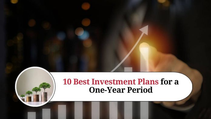 10 Best Investment Plans for a One-Year Period