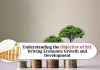 Understanding the Objective of SSI: Driving Economic Growth and Development