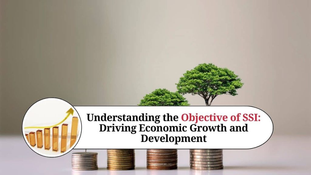 Understanding the Objective of SSI Driving Economic Growth and Development