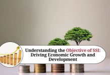 Understanding the Objective of SSI: Driving Economic Growth and Development