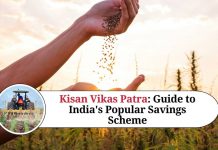Kisan Vikas Patra : A Comprehensive Guide to India's Popular Savings Scheme