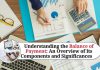Understanding the Balance of Payment: An Overview of Its Components and Significance