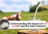 Understanding the Impact of GST on Milk and the Dairy Industry