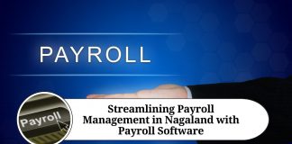 Streamlining Payroll Management in Nagaland with Payroll Software