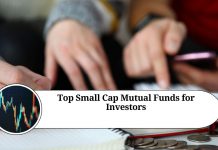 Top Small Cap Mutual Funds for Investors