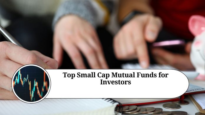 Top Small Cap Mutual Funds for Investors