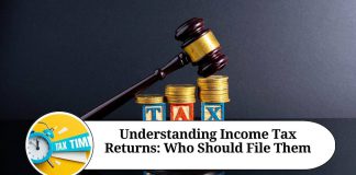 Understanding Income Tax Returns: Who Should File Them