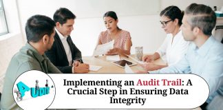 Implementing an Audit Trail: A Crucial Step in Ensuring Data Integrity