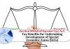 Section 80IAB of Income Tax Act: Tax Benefits for Undertaking Development of Special Economic Zones (SEZs)