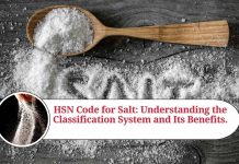 hsn code of salt
