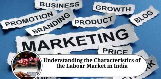Understanding the Characteristics of the Labour Market in India