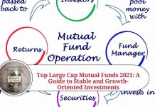 Top Large Cap Mutual Funds 2021: A Guide to Stable and Growth-Oriented Investments