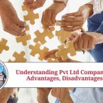 Understanding Pvt Ltd Companies: Advantages, Disadvantages, and FAQs