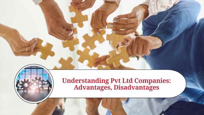 Understanding Pvt Ltd Companies: Advantages, Disadvantages, and FAQs