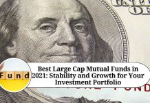 Best Large Cap Mutual Funds in 2021: Stability and Growth for Your Investment Portfolio