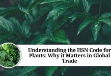 Understanding the HSN Code for Plants: Why it Matters in Global Trade