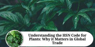 Understanding the HSN Code for Plants: Why it Matters in Global Trade