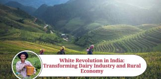 White Revolution in India: Transforming Dairy Industry and Rural Economy