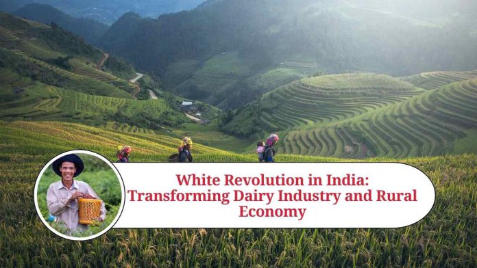 White Revolution in India: Transforming Dairy Industry and Rural Economy