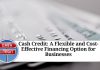 Cash Credit: A Flexible and Cost-Effective Financing Option for Businesses