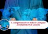 A Comprehensive Guide to Company Incorporation in Canada