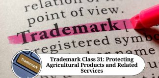 Trademark Class 31