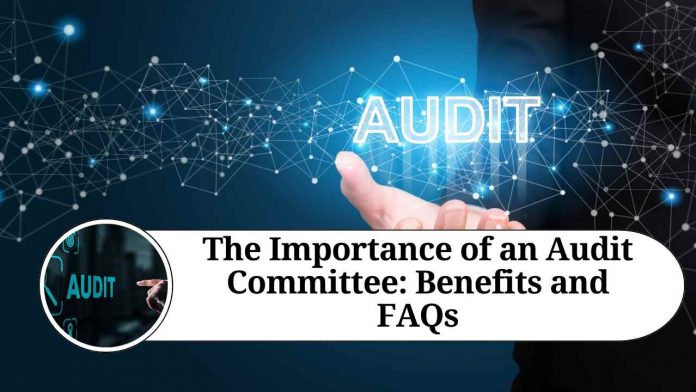 The Importance of an Audit Committee: Benefits and FAQs