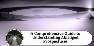 A Comprehensive Guide to Understanding Abridged Prospectuses