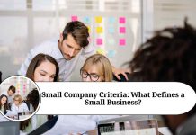 small company criteria