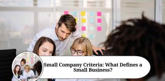small company criteria