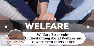 welfare economics notes