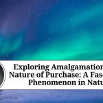 Exploring Amalgamation in the Nature of Purchase: A Fascinating Phenomenon in Nature Exploring Amalgamation in the Nature of Purchase: A Fascinating Phenomenon in Nature