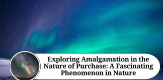 Exploring Amalgamation in the Nature of Purchase: A Fascinating Phenomenon in Nature