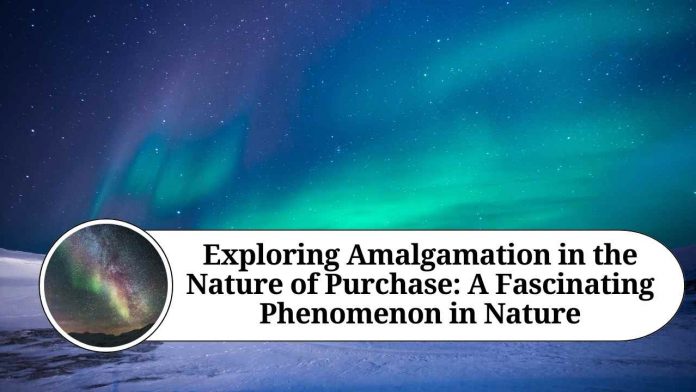 Exploring Amalgamation in the Nature of Purchase: A Fascinating Phenomenon in Nature