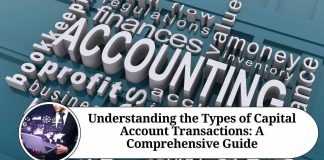 Understanding the Types of Capital Account Transactions: A Comprehensive Guide