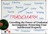 Unveiling the Power of Trademark Investigation: Protecting Your Intellectual Property