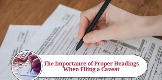 caveat can be filed only in