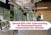 almond hsn code