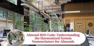 almond hsn code