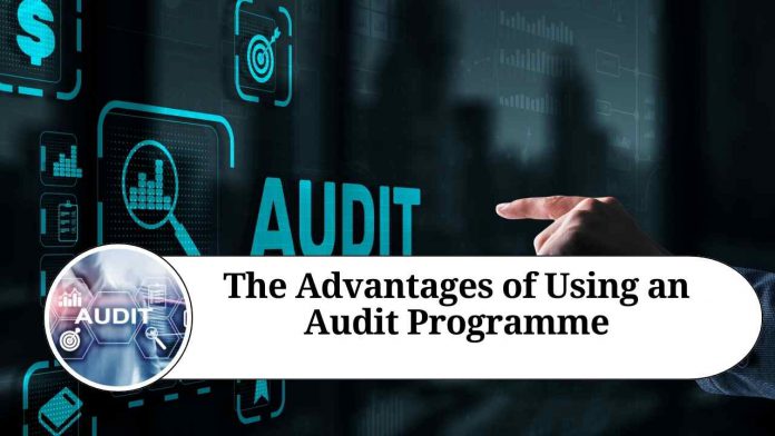 The Advantages of Using an Audit Programme