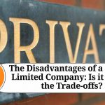 The Disadvantages of a Private Limited Company: Is it Worth the Trade-offs?
