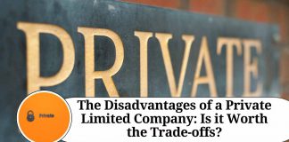 The Disadvantages of a Private Limited Company: Is it Worth the Trade-offs?