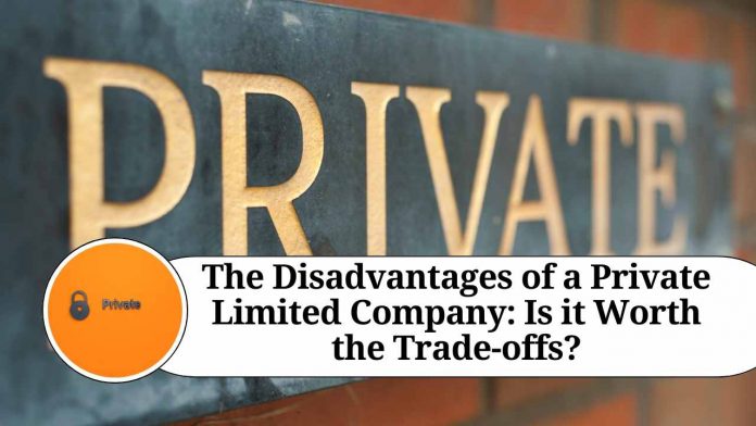 The Disadvantages of a Private Limited Company: Is it Worth the Trade-offs?