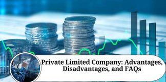 Private Limited Company: Advantages, Disadvantages, and FAQs