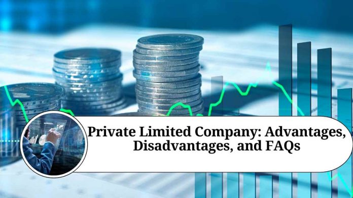 Private Limited Company: Advantages, Disadvantages, and FAQs