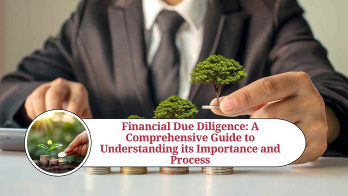 fdd financial due diligence report