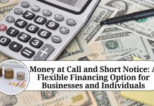 Money at Call and Short Notice: A Flexible Financing Option for Businesses and Individuals